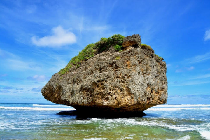 The Soup Bowl Bathsheba