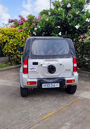 H1034 Back 300