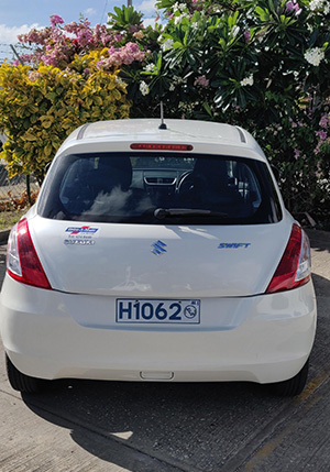 H1062 Back 300