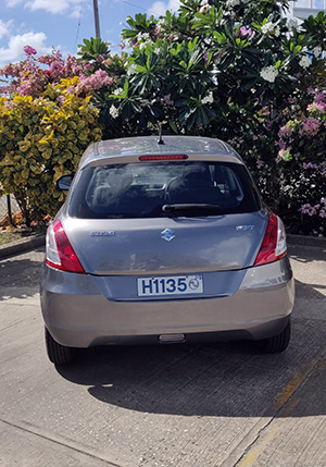 H1135 Back 300