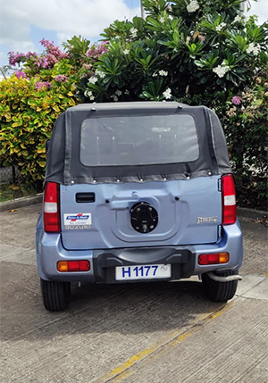 H1177 Back 300