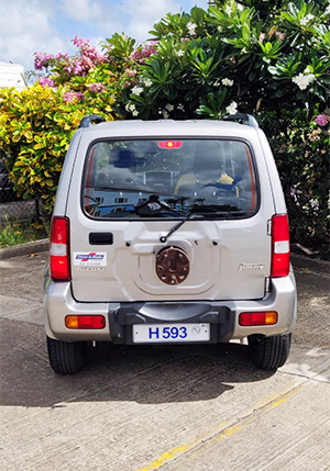 H593 Back 300